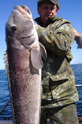 GIGANTES DEL MAR